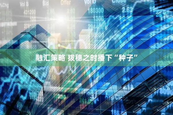 融汇策略 拨穗之时播下“种子”