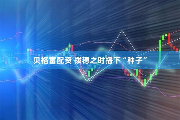 贝格富配资 拨穗之时播下“种子”