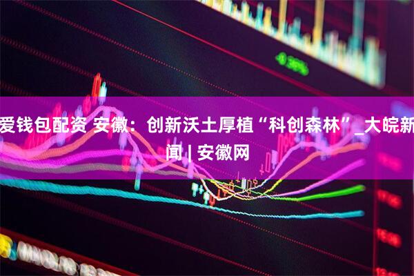 爱钱包配资 安徽：创新沃土厚植“科创森林”_大皖新闻 | 安徽网